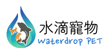 transparent-Photoroom (27)